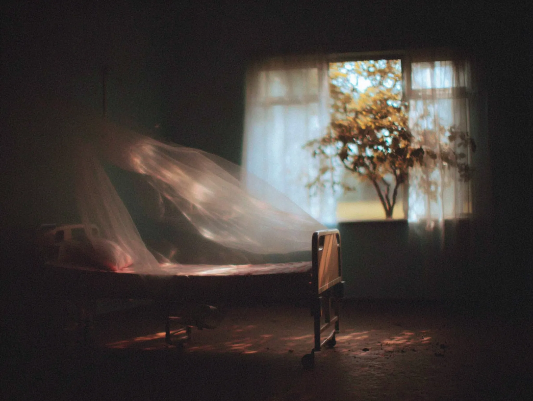 Эвтаназия и биоэтика